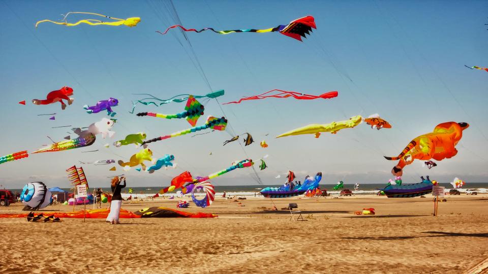 International Kite Festival Shutterbug
